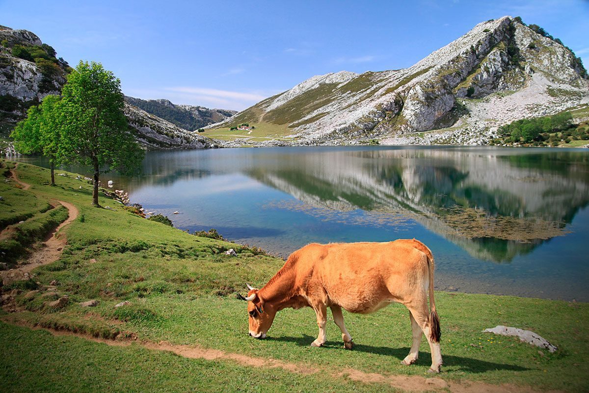 lagosdecovadonga1